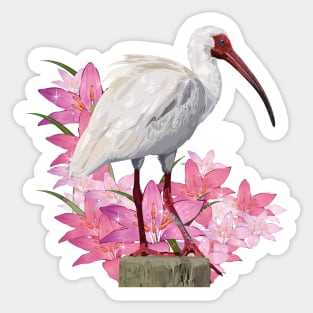 Ibis Sticker